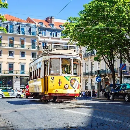 @ Santa Catarina Lisboa
